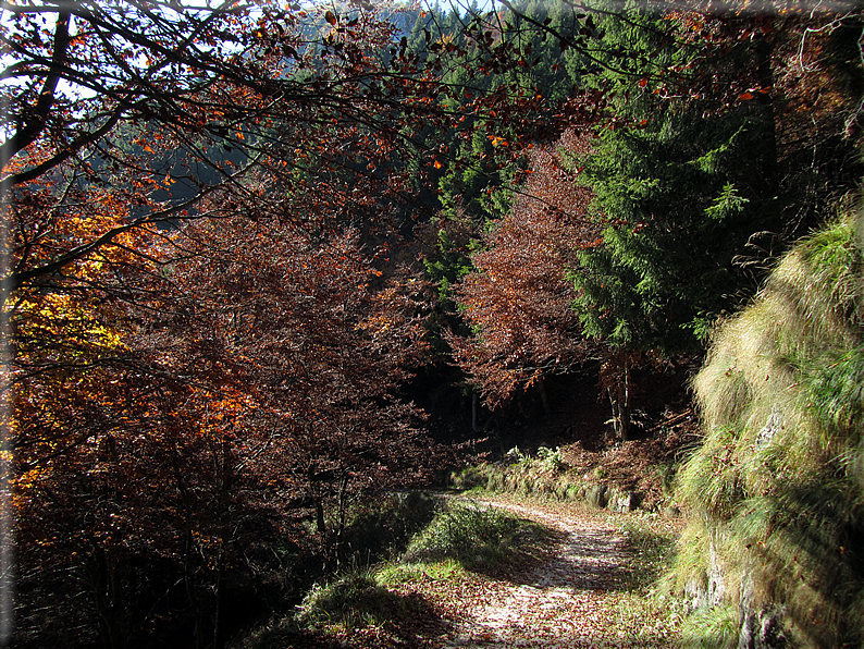 foto Mulatiera del Covolo